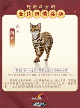 天龙八部私服盾牌